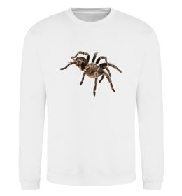 Свитшот Tarantula