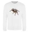 Свитшот Tarantula Белый фото