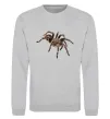 Свитшот Tarantula Серый меланж фото