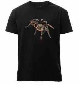 Мужская премиум футболка Павучки на павутинні Белый фото