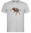 Чоловіча футболка Tarantula Сірий фото