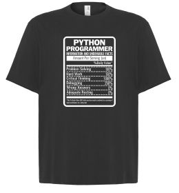 Футболка Оверсайз Python programmer
