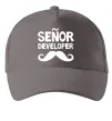 Кепка Senior developer Серый фото