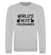 Свитшот World`s best programmer Серый меланж фото