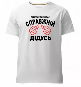 Чоловіча преміум футболка