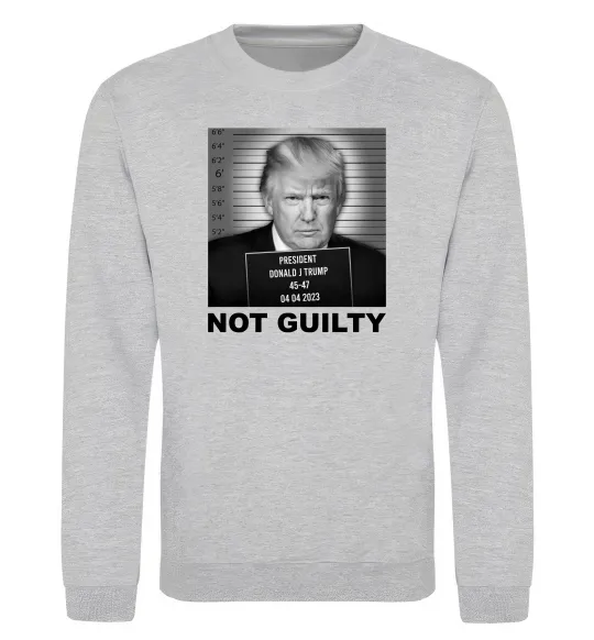 Свитшот Donald Trump Not guilty Серый меланж фото