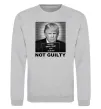 Свитшот Donald Trump Not guilty Серый меланж фото