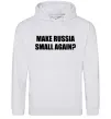 Чоловіча толстовка (худі) Make russia small again? Сірий меланж фото