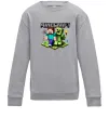 Детский Свитшот Minecraft Steve Creeper Серый меланж фото