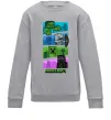 Детский Свитшот Minecraft Characters Серый меланж фото