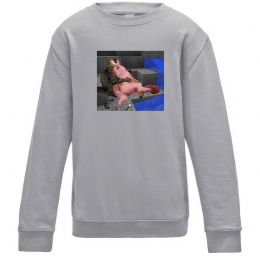 Детский Свитшот Minecraft Cats