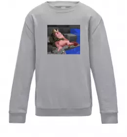 Дитячий світшот