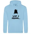 Мужская толстовка (худи) Shikamaru what a draaag Голубой фото