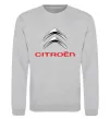 Свитшот Citroen logo Серый меланж фото
