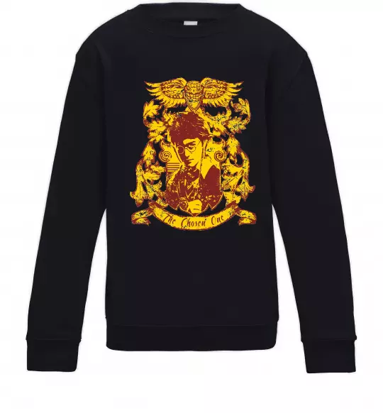 Детский Свитшот The chosen one Potter Черный фото