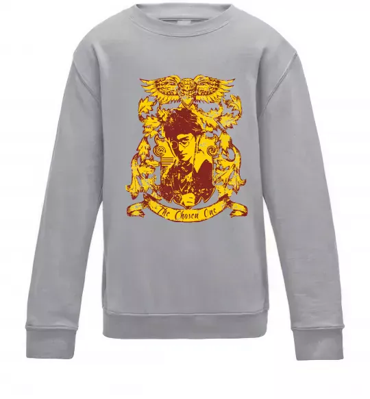 Детский Свитшот The chosen one Potter Серый меланж фото