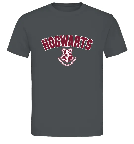 Мужская футболка Hogwarts Logo Графит фото