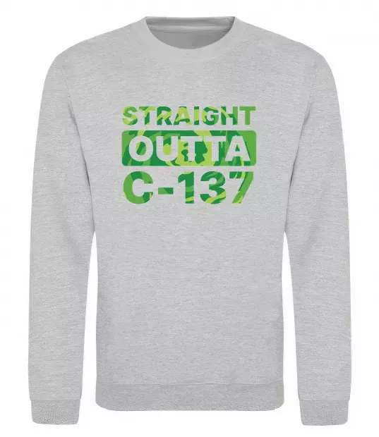 Свитшот Straight outta C-137 Серый меланж фото