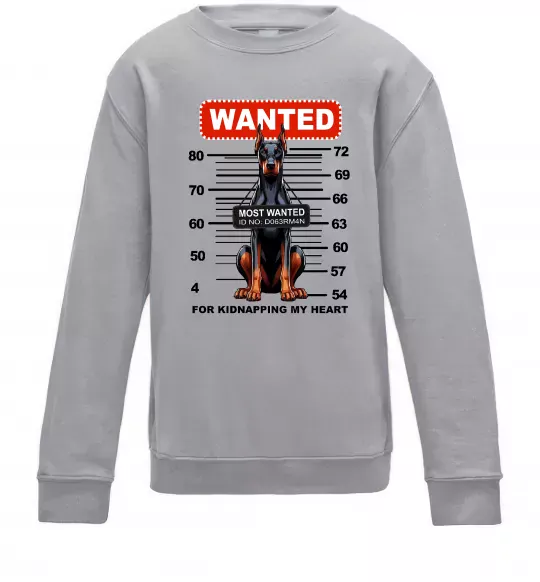 Дитячий світшот Doberman wanted Сірий меланж фото