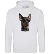Мужская толстовка (худи) Doberman sunglasses Серый меланж фото