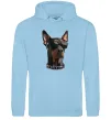 Женская толстовка (худи) Doberman sunglasses Голубой фото
