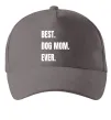 Кепка Best dog mom ever Серый фото