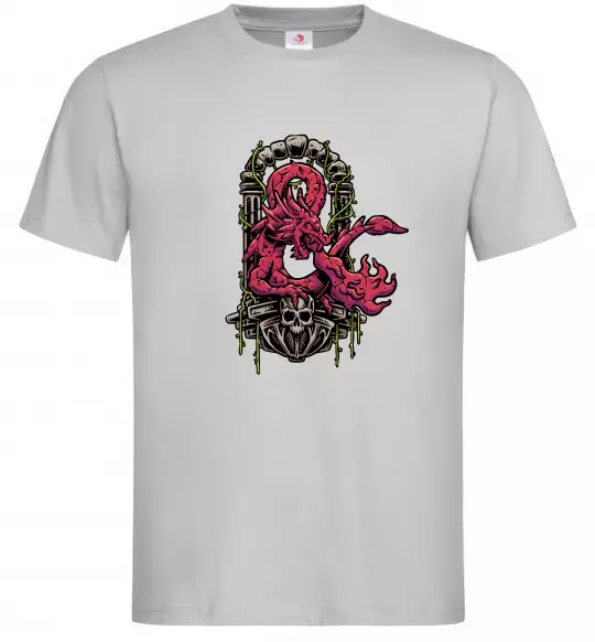 Мужская футболка Дракон арка Серый фото