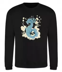 Свитшот Air dragon Черный фото