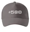 Кепка 500 Fiat Серый фото