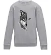 Детский Свитшот Вовк око Серый меланж фото
