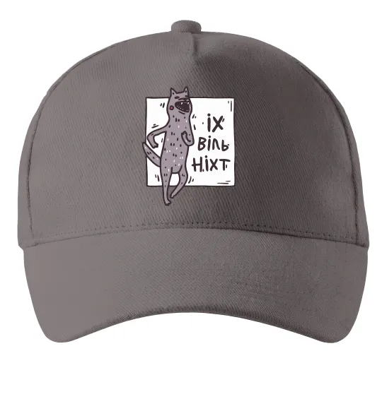 Кепка Іх віль ніхт Серый фото