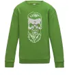 Детский Свитшот Череп з бородою Лаймовый фото