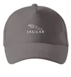 Кепка Jaguar logo та назва Сірий фото
