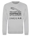 Свитшот You can drive Jaguar Серый меланж фото
