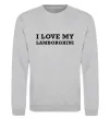 Свитшот I love Lamborghini Серый меланж фото