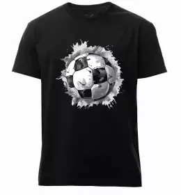 Мужская премиум футболка