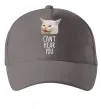 Кепка Can`t hear you cat Серый фото