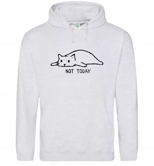Мужская толстовка (худи) Not today cat Серый меланж фото