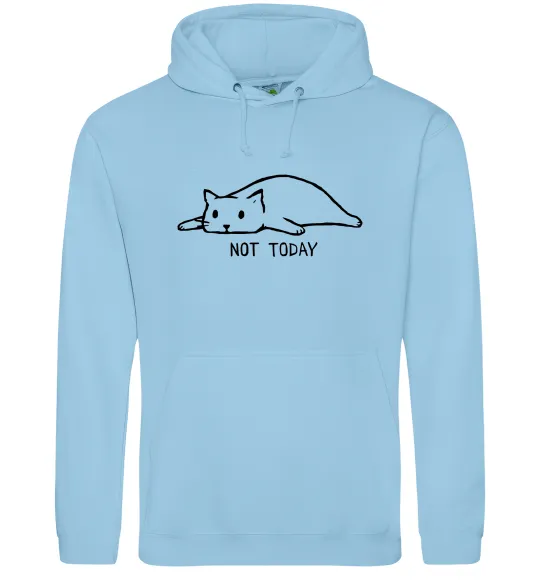 Женская толстовка (худи) Not today cat Голубой фото