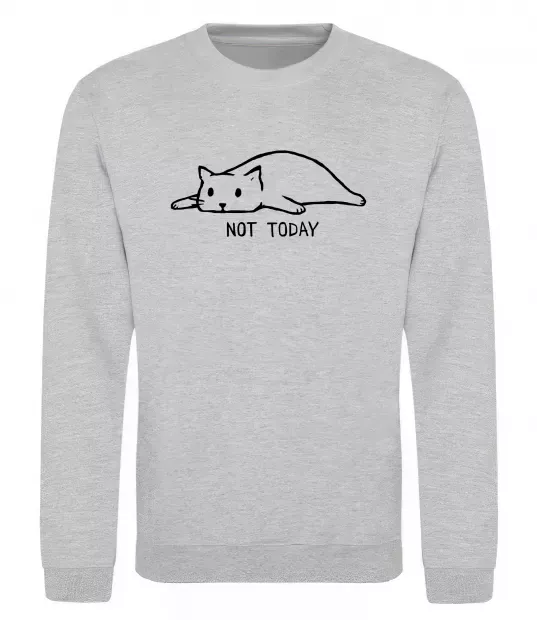 Свитшот Not today cat Серый меланж фото