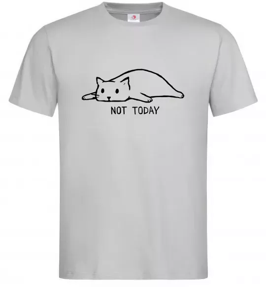 Чоловіча футболка Not today cat Сірий фото