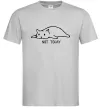 Чоловіча футболка Not today cat Сірий фото