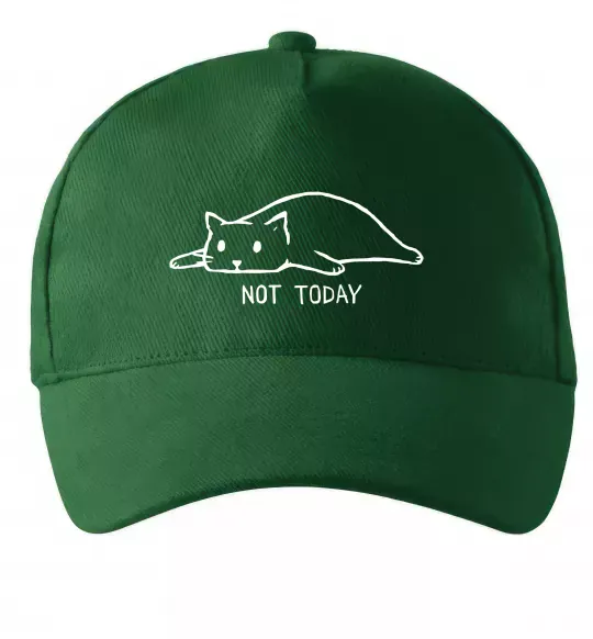 Кепка Not today cat Темно-зелений фото