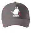 Кепка Cat with knife Серый фото