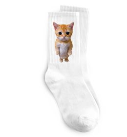 Носки Кошеня в повний зріст