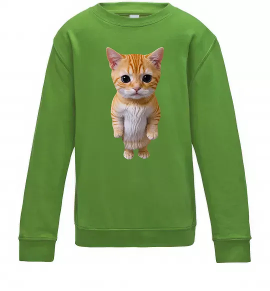 Детский Свитшот Кошеня в повний зріст Лаймовый фото