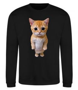 Світшот Кошеня в повний зріст