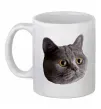 Чашка керамічна Кіт дивиться Білий фото