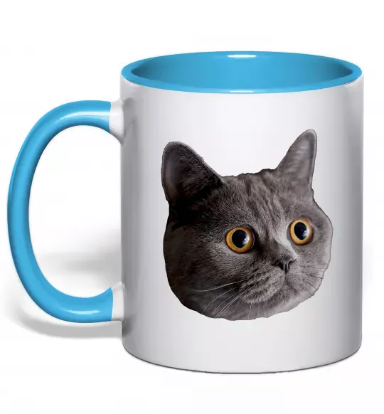 Чашка з кольоровою ручкою Кіт дивиться Блакитний фото