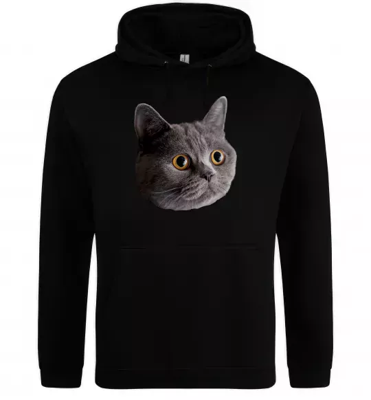 Мужская толстовка (худи) Кіт дивиться Черный фото